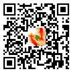 加我微信 加我微信